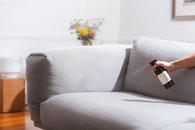 The Importance of Regular Sofa Cleaning for a Healthy Home